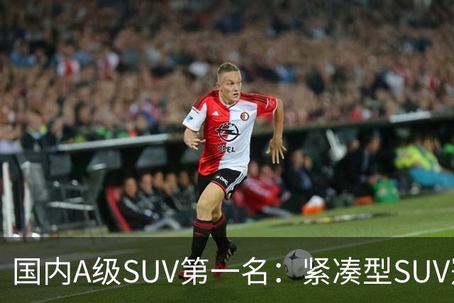 国内A级SUV第一名：紧凑型SUV冠军车，9个月时间销量破14万台